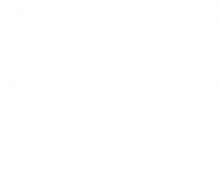 falcon-doors-blanco-logo-ver